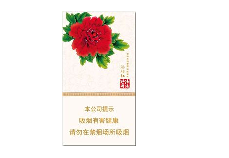 广西岑溪香烟批发价格表-广西岑溪烟花爆竹批发哪里便宜